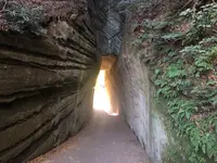 燈籠坂大師切通しトンネルの写真・動画_image_559754