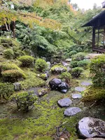 総本家 ゆどうふ 奥丹清水の写真・動画_image_560353