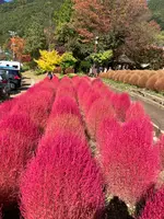 大石公園の写真・動画_image_560377