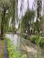 祇園白川の写真・動画_image_560395