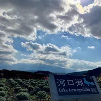 大石公園の写真・動画_image_560407