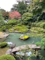 青蓮院の写真・動画_image_560417