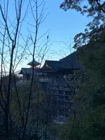 清水寺の写真・動画_image_560424