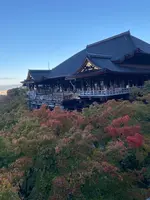 清水寺の写真・動画_image_560425