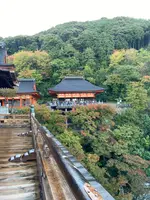 清水寺の写真・動画_image_560426