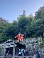 清水寺の写真・動画_image_560427