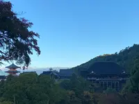 清水寺の写真・動画_image_560430