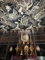 建仁寺の写真・動画_image_560440