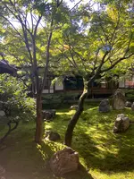 建仁寺の写真・動画_image_560443