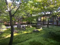 建仁寺の写真・動画_image_560444