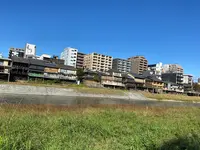 鴨川の写真・動画_image_560449