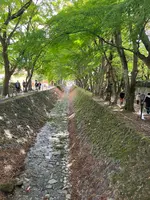 もみじ回廊の写真・動画_image_560451