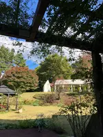 桔梗屋河口湖フラワーガーデンの写真・動画_image_560476