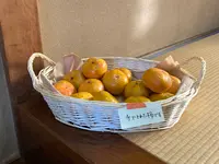 長仙寺の写真・動画_image_560519