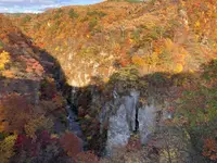 鳴子峡の写真・動画_image_560554