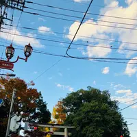 秩父神社の写真・動画_image_561185