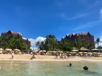 Aulani, A Disney Resort & Spa（アウラニ・ディズニー・リゾート＆スパ）の写真・動画_image_561273