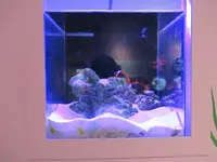 康倪海洋生技丑丑館の写真・動画_image_561356