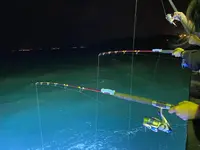 亜曼尼夜釣小管遊艇の写真・動画_image_561404