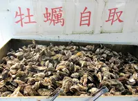 海上皇宮海洋牧場の写真・動画_image_561422