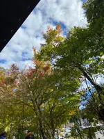 茶屋 卯三郎の写真・動画_image_561475
