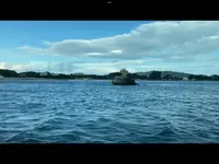 松島島巡り観光船の写真・動画_image_561863