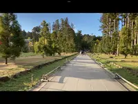 瑞巌寺の写真・動画_image_561902
