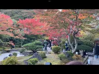 円通院の写真・動画_image_561904