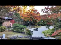 円通院の写真・動画_image_561905