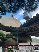 千光寺の写真・動画_image_561997