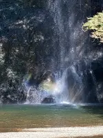 箕面大滝の写真・動画_image_562050