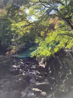 箕面大滝の写真・動画_image_562052