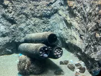 仙台うみの杜水族館の写真・動画_image_562134