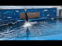 仙台うみの杜水族館の写真・動画_image_562136