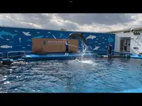 仙台うみの杜水族館の写真・動画_image_562137