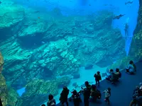 仙台うみの杜水族館の写真・動画_image_562138
