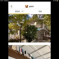 Pizza＆Cafe 森のオーブン ドットーレの写真・動画_image_562153