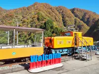 黒部渓谷トロッコ電車の写真・動画_image_562207