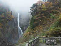 称名滝の写真・動画_image_562209