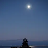 国定公園 雨晴海岸の写真・動画_image_562211