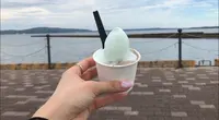 能登食祭市場の写真・動画_image_562388