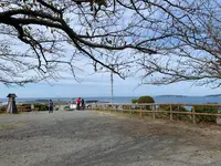 城山公園の写真・動画_image_562769