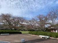 城山公園の写真・動画_image_562770