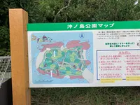 沖ノ島の写真・動画_image_562794