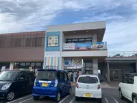 館山なぎさ食堂の写真・動画_image_562834