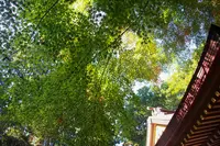 麻賀多神社の写真・動画_image_562989