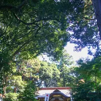 麻賀多神社の写真・動画_image_562990
