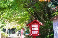 麻賀多神社奥宮の写真・動画_image_562993