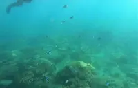 山水東海堤景点の写真・動画_image_563267