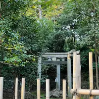 木嶋坐天照御魂神社（蚕ノ社）の写真・動画_image_563304